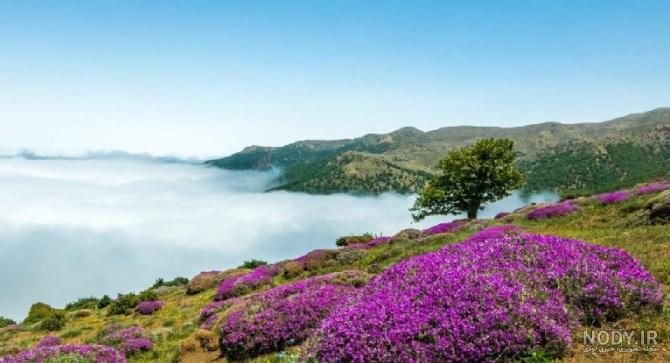کاور هایلایت ایموجی با لبخند تلخ مخصوص استوری های غمگین