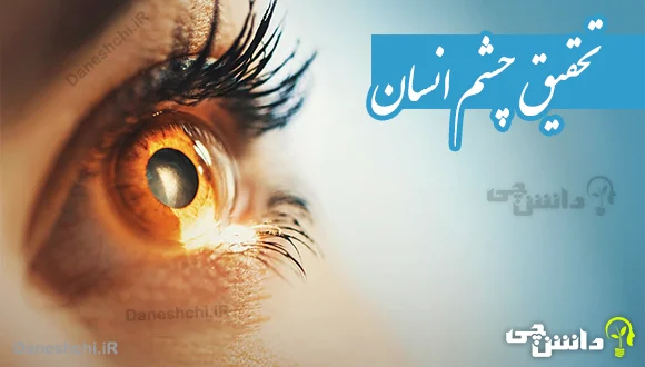 آشنایی با ساختمان و آناتومی چشم, علوم پنجم دبستان - شرکت خلاق شباهنگ