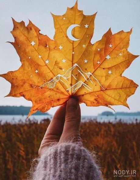 بی نظیرترین عکس های پاییزی 🍂 | لست‌سکند