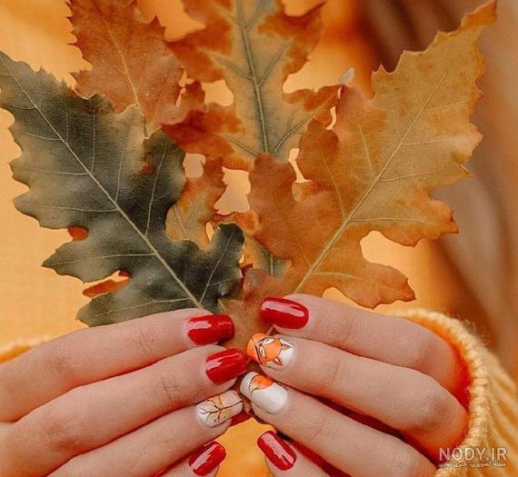 بی نظیرترین عکس های پاییزی 🍂 | لست‌سکند