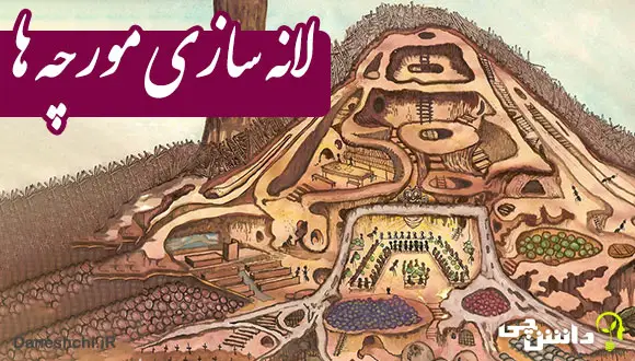 تحقیق در مورد چشم انسان و اجزای آن - دانشچی