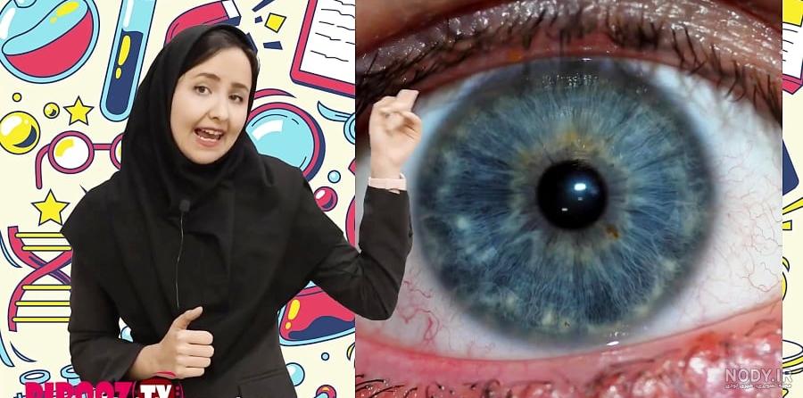 تحقیق در مورد چشم انسان و اجزای آن - دانشچی