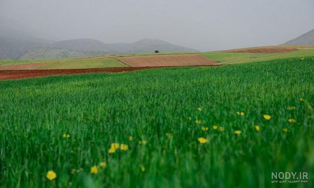 روستای پالنگان کردستان، از جاذبه‌ها تا تصاویر و آدرس
