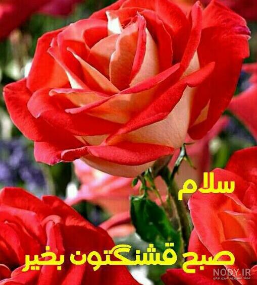 سلام صبح سه شنبه تون بخیر + پیامک صبح بخیر سه شنبه