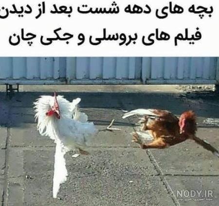 عکس خنده دار مرغ عکس خنده دار مرغ