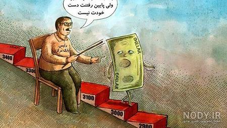 عکس خنده دار مرغ عکس خنده دار مرغ
