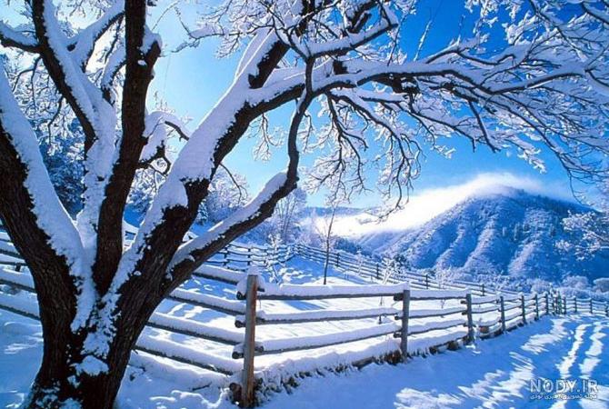 عکس زیبا از طبیعت زمستانی