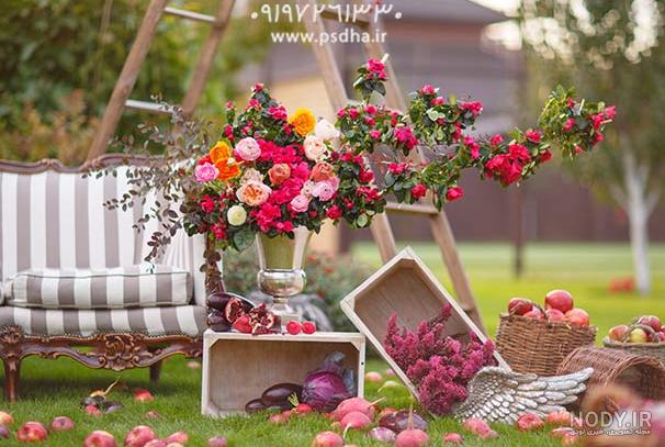 عکس طبیعت با کیفیت بالا برای کامپیوتر