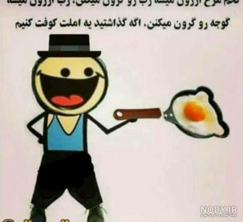 عکس طنز مرغ - عکس نودی عکس طنز مرغ - عکس نودی
