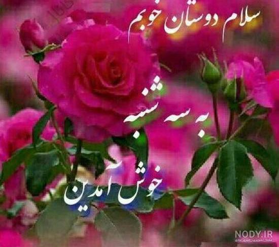 عکس ظهر بخیر سه شنبه - عکس نودی