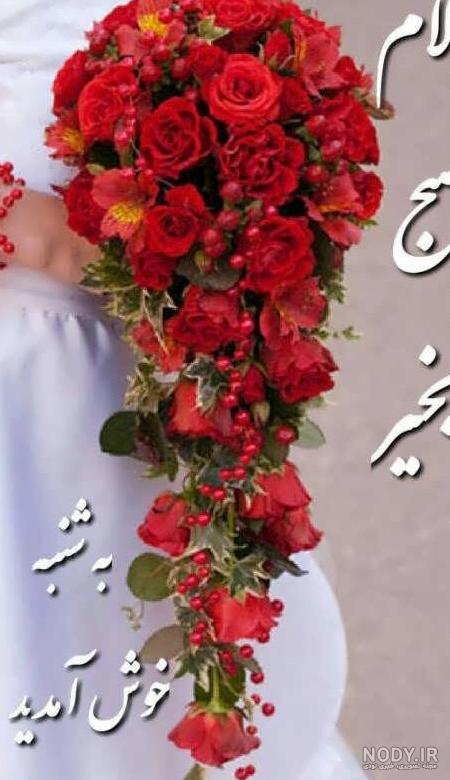 عکس نوشته روز سه شنبه با انواع متن های زیبا و خاص