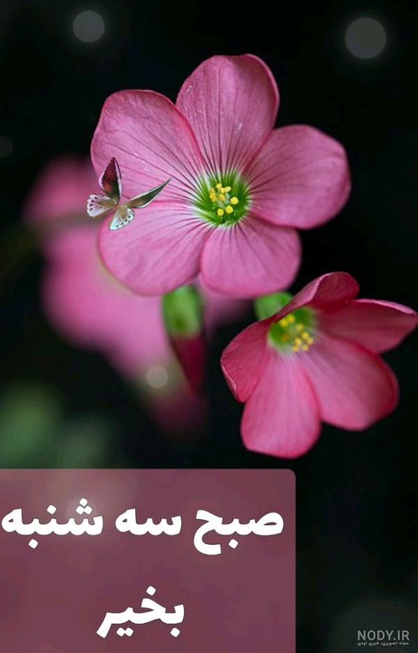 عکس نوشته روز سه شنبه - عکس نودی