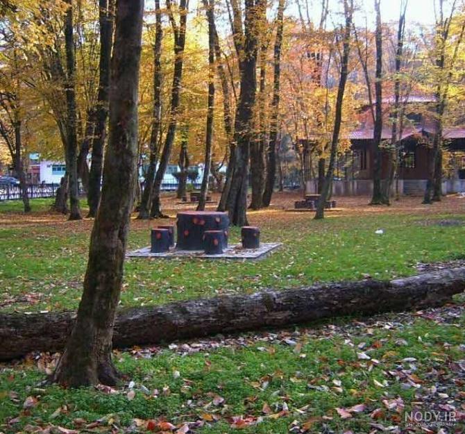 عکس پرچم ایران خونی عکس پرچم ایران خونی