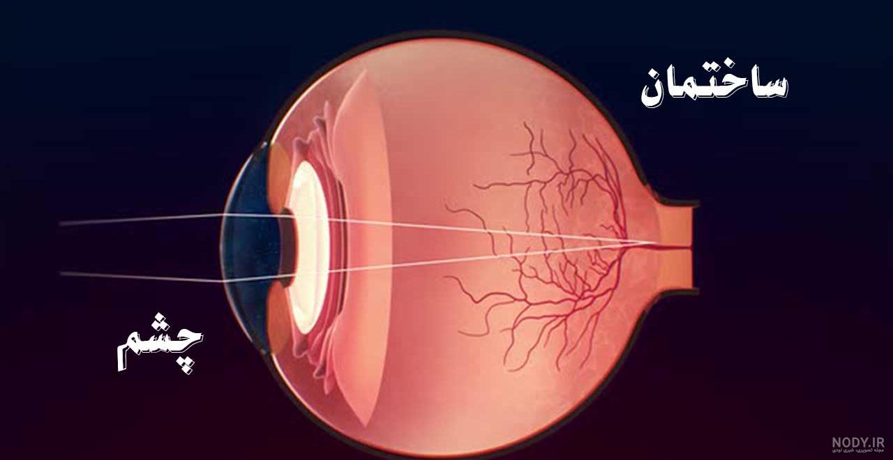 عکس چشم صفحه ۴۶ علوم پنجم - عکس نودی