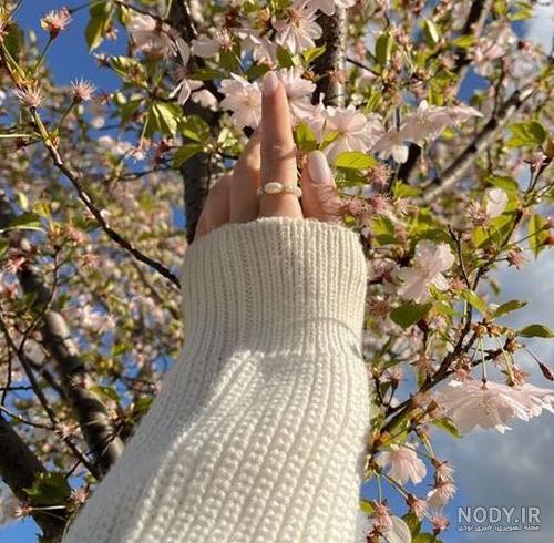مجموعه عکس پروفایل دختر زیبا با حجاب (جدید)