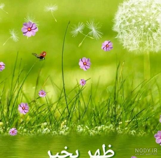 یک عکس ظهر بخیر یک عکس ظهر بخیر