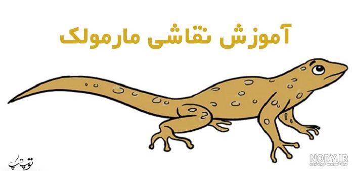 آموزش گام به گام نقاشی مارمولک - تــــــــوپ تـــــــــاپ آموزش گام به گام نقاشی مارمولک - تــــــــوپ تـــــــــاپ