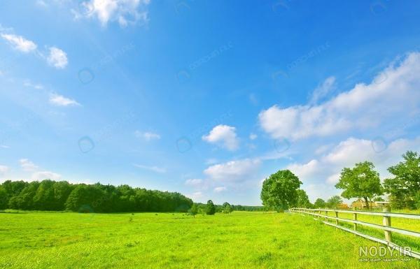 جدیدترین عکس های چمنزار جدیدترین عکس های چمنزار