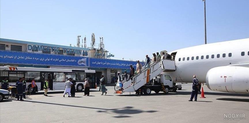 شهروندان افغانستانی به کدام قسمت از هواپیما آویزان شده بودند؟ ± فیلم شهروندان افغانستانی به کدام قسمت از هواپیما آویزان شده بودند؟ ± فیلم