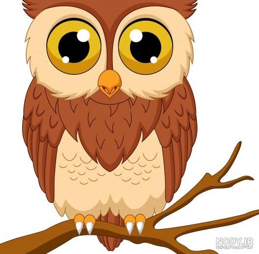 عکس جغد نقاشی