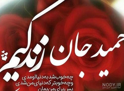 عکس حمید انگلیسی - عکس نودی