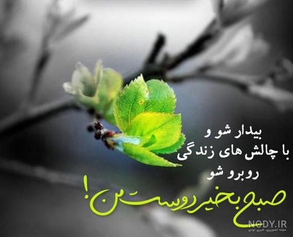 عکس های زیبا و شاداب