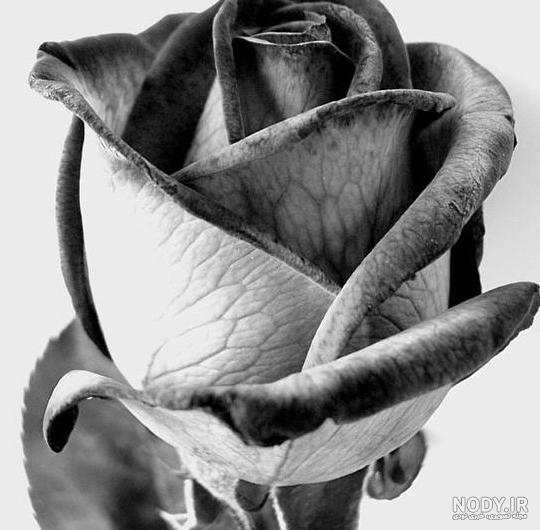 عکس سیاه سفید فانتزی عاشقانه عکس سیاه سفید فانتزی عاشقانه