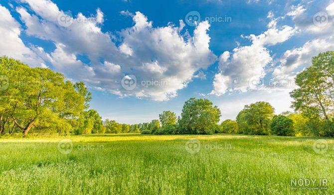 عکس منظره چمن - عکس نودی عکس منظره چمن - عکس نودی