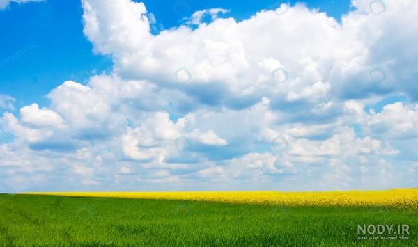 عکس منظره چمن - عکس نودی عکس منظره چمن - عکس نودی
