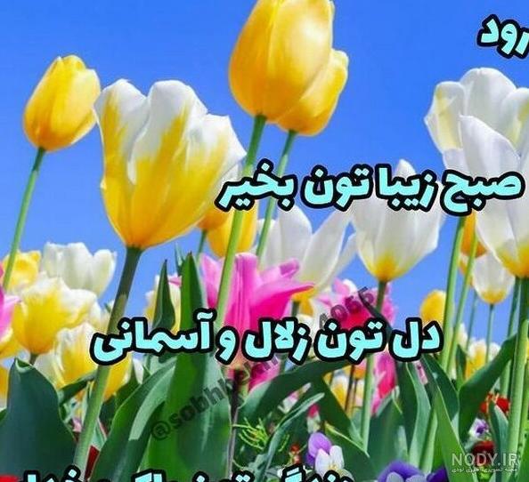 عکس نوشته صبح بخیر شاداب