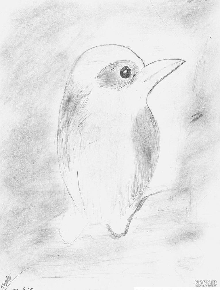 نقاشی طراحی دخترانه ساده آسان نقاشی طراحی دخترانه ساده آسان