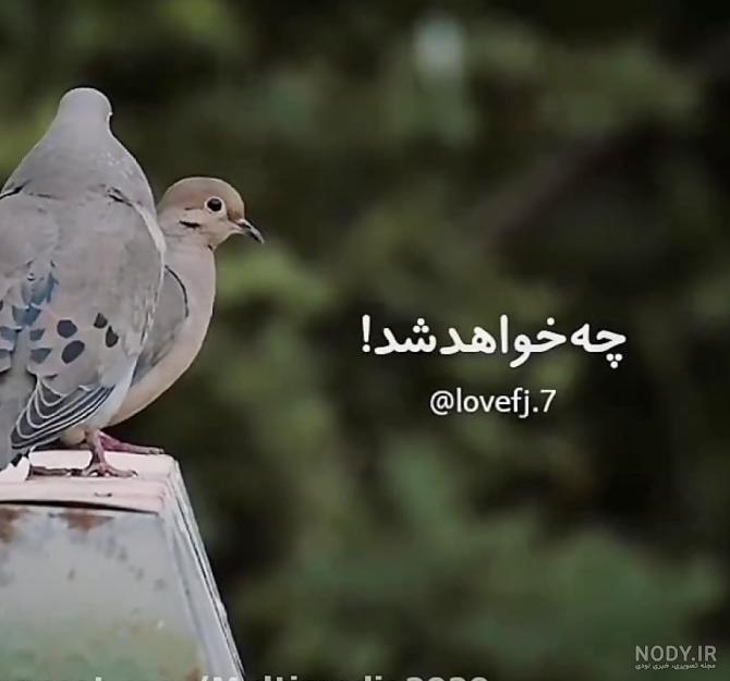 کلیپ عکس نوشته های زیبا