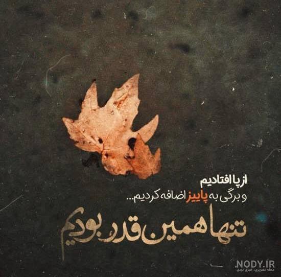 کلیپ عکس نوشته های زیبا کلیپ عکس نوشته های زیبا