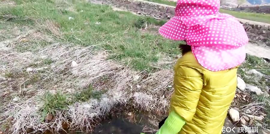 آشنایی با انواع صدف و مروارید گران بهای آن ها (+عکس)