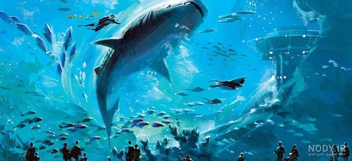 آکواریوم استانبول | Aquarium | بیسان گشت