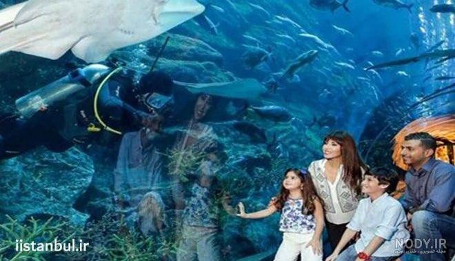 آکواریوم استانبول | Aquarium | بیسان گشت