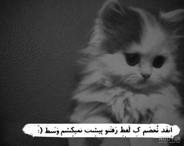 استوری تولد // شب تولدم شد!