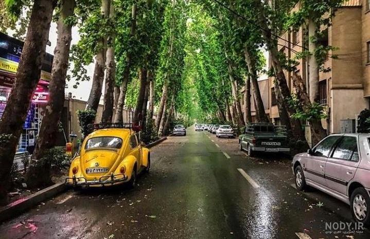 بایگانی‌های عکس - صفحه 2641 از 2677 - کامل (مولیزی)