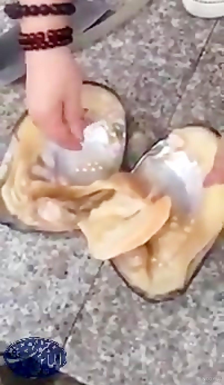 تاحالا صدف زنده به این شکلی دیدید!؟:D