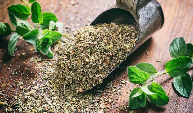 خواص گیاه دارویی آویشن | خبرگزاری صدا و سیما خواص گیاه دارویی آویشن | خبرگزاری صدا و سیما