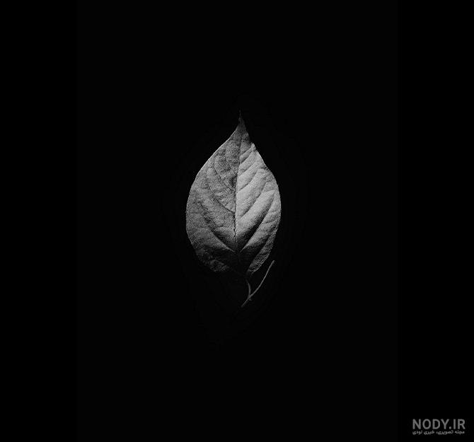 دانلود عکس زمینه سفید ساده - عکس نودی دانلود عکس زمینه سفید ساده - عکس نودی