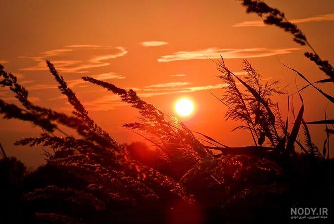 زیباترین عکس غروب خورشید - عکس نودی