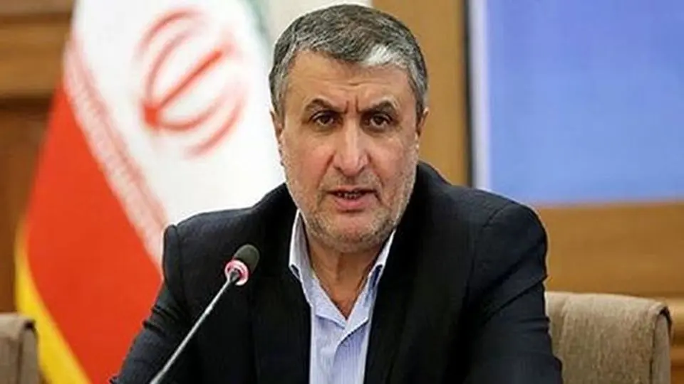 سفر مرد پرحاشیه آژانس بین المللی انرژی اتمی به ایران