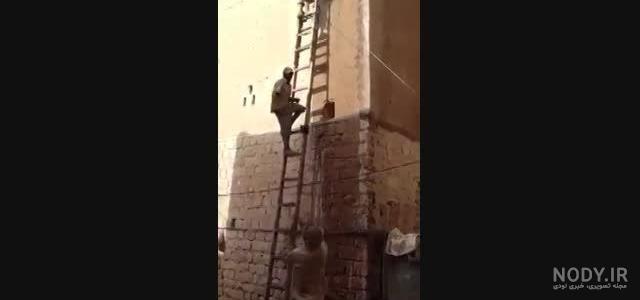شنا کردن جالب صدف زنده