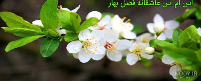 عکس با متن بهار
