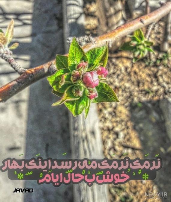 عکس بهار متن دار
