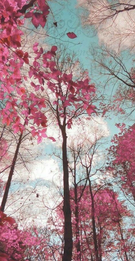 عکس بک گراند ساده و شیک عکس بک گراند ساده و شیک