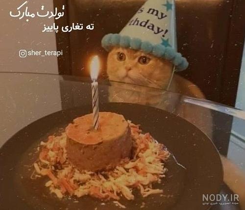 عکس تولدم مبارک گربه - عکس نودی