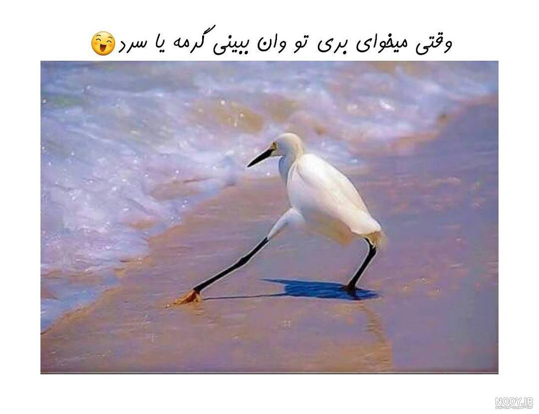 عکس جالب برای تلگرام و گروه های این شبکه اجتماعی