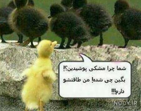 عکس جالب زیبا